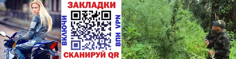 Купить закладку APVP  Галлюциногенные грибы  Гашиш  Метадон  Канабис  КОКАИН  Мефедрон  Бикин