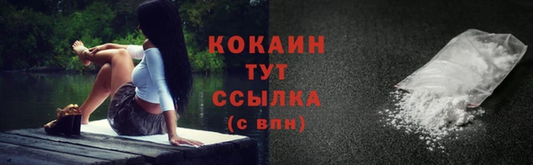 сатива Куйбышев