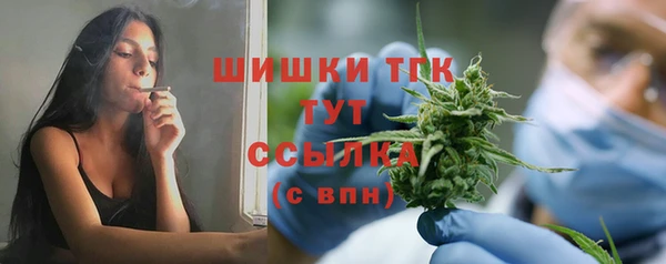 гашик Ладушкин