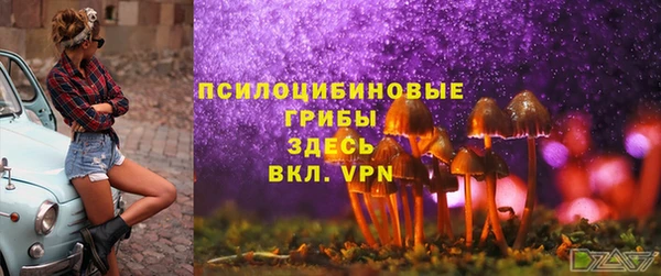сатива Куйбышев