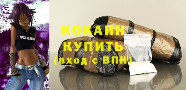 гашик Ладушкин