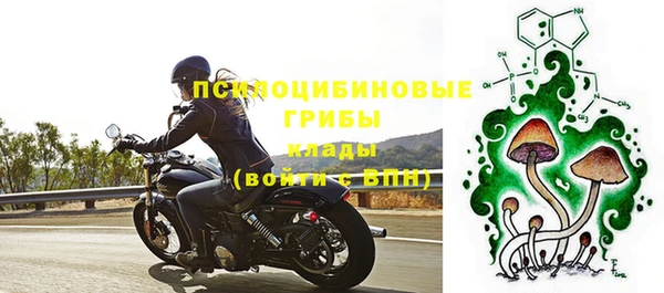 дурь Кулебаки
