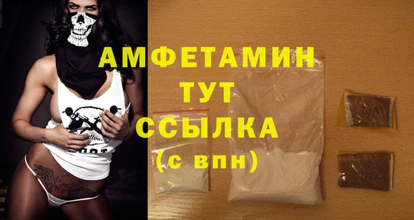 сатива Куйбышев