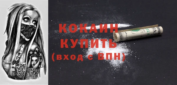 сатива Куйбышев