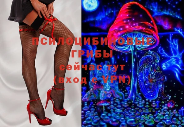 гашик Ладушкин