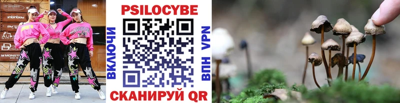Галлюциногенные грибы Psilocybe  Купить  Бикин 